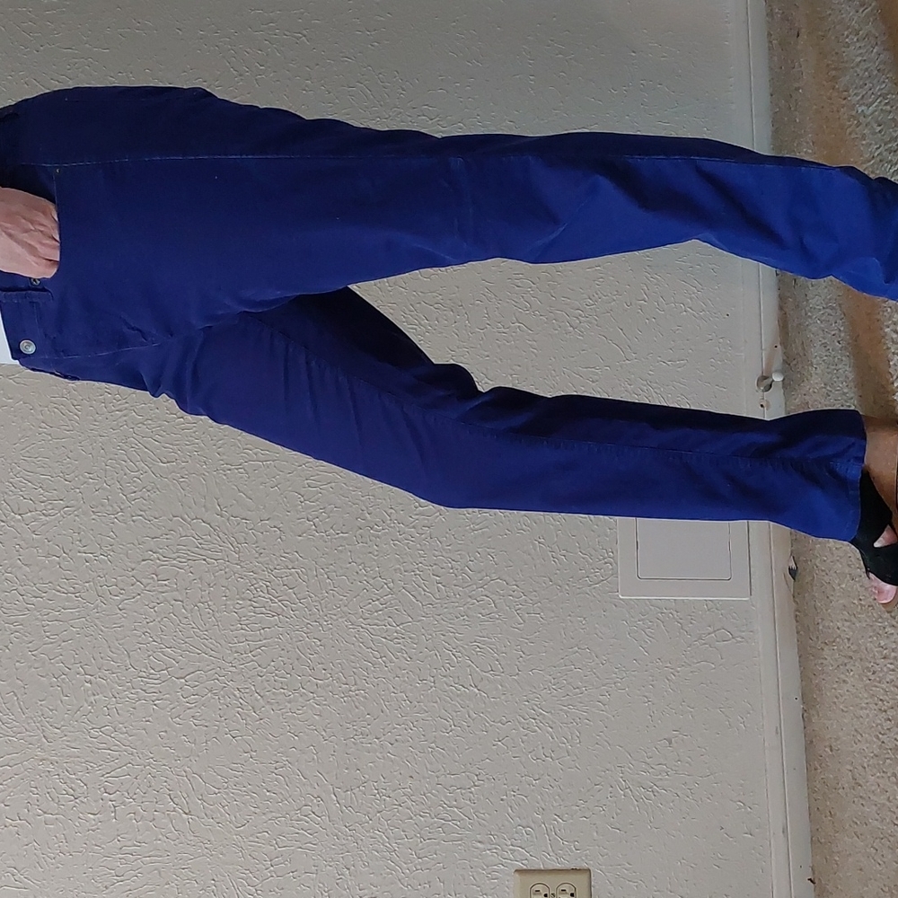 Purple corduroy pants from Ann Taylor 14T